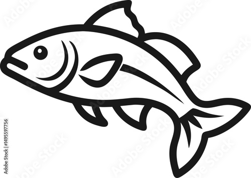 vector illustration of fish