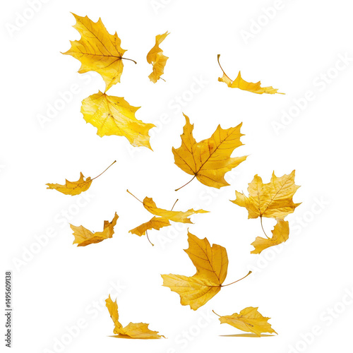 Golden autumn leaves gracefully falling against transparent background, capturing essence of seasonal change and natural beauty