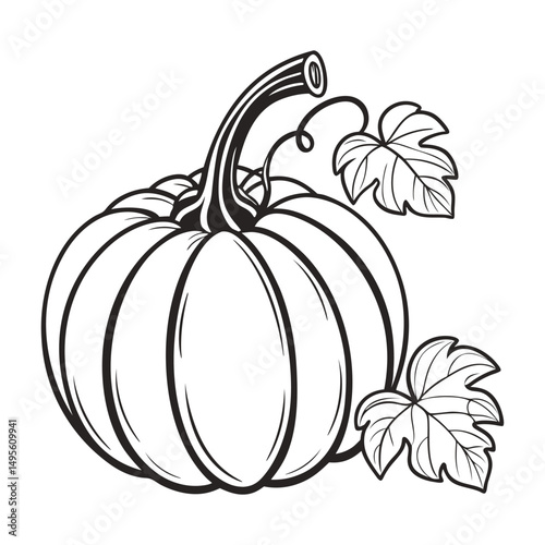 Black and white Pumpkin vector illustration, pumpkin with leave isolated white background