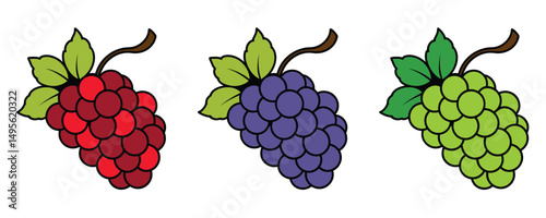 Set of Grape Icons Fruits, bunches of grapes icons, Flat vector red, green, blue grapes branch logo, Vector illustration