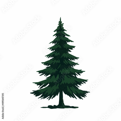 A detailed illustration of a coniferous tree, perfect for nature projects
