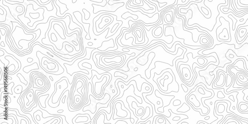 Abstract minimal The patter discovery vector topo map. creative discovery White wave grid stripe line map topography. vector geographic contour mounted map background.	
