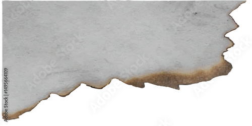 Charred brown-edged paper sheet with organic curves and aged stains, ideal for apocalyptic design themes, horror books, or vintage parchment texture overlays in creative works