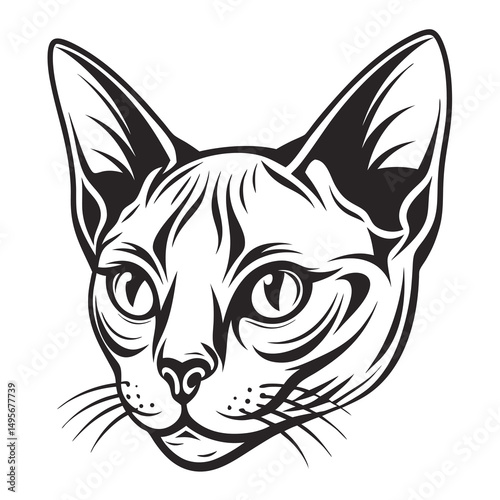 Hairless Cat Head Vector Art