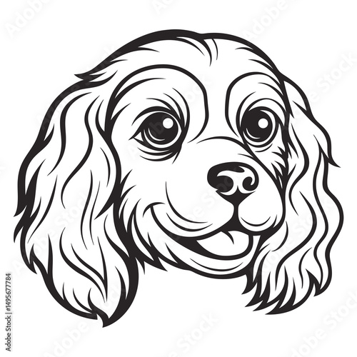 Cute Cavalier King Charles Spaniel