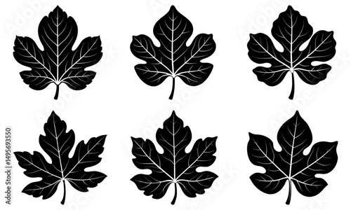 Fig Leaf Silhouette vector illustration