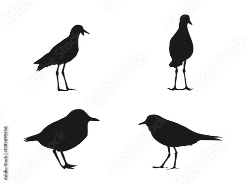 Plover silhouette vector flat illustration design. Vector silhouette of a standing Common Ringed Plover. Four Silhouette Birds in Various Poses. vector on a white background.
