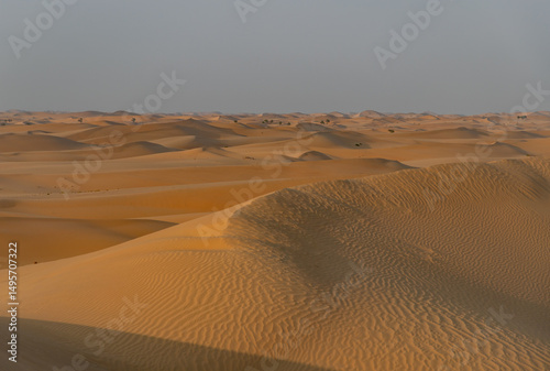 Fototapeta Naklejka Na Ścianę i Meble -  Abu Dhabi Desert