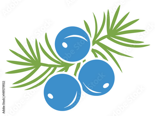 Juniper berries logo vector icon, Fresh berries with leaves vector illustration on a white background