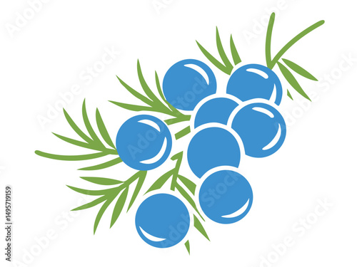 Juniper berries logo vector icon, Fresh berries with leaves vector illustration on a white background