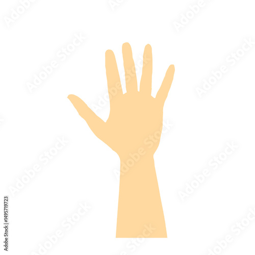 illustration of human hand gesture without background