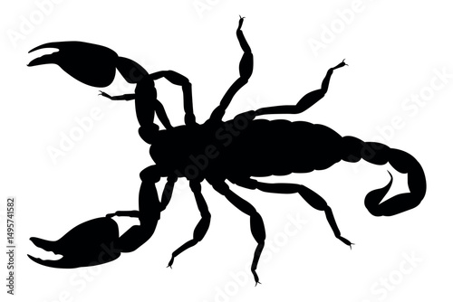 Vector art of Black scorpion silhouette isolated on white background
