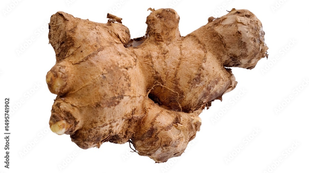 Fresh Ginger (Zingiber Officinale) Roots Isolated on White Background. A Healthy Spice and Superfood Ingredient for Culinary, Herbal Medicine, and Detox Use Fresh Ginger (Zingiber Officinale) Roots Isolated on White Background. A Healthy Spice and Superfood Ingredient for Culinary, Herbal Medicine, and Detox Use