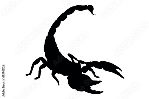 Vector art of Silhouette of a scorpion isolated on white background