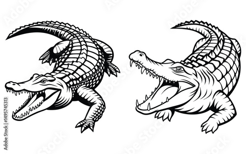bundle alligator line art and illustrator eps 10