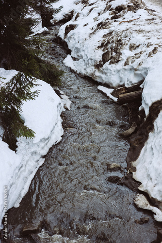 Wallpaper Mural Mountain stream flowing through snow-covered landscape in winter forest. Torontodigital.ca