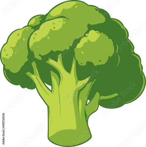 Illustration of bright green broccoli with multiple florets cartoon style. Vector illustration