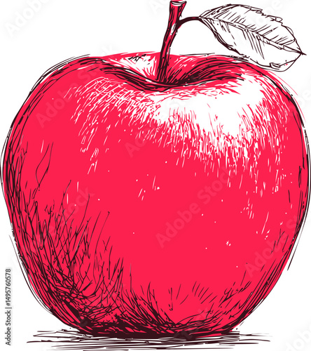 Illustration of a vibrant red apple with leaf in detailed line art style. Vector illustration