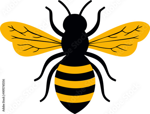 Graphic illustration of a black and yellow bee with detailed wings, vector art. Vector illustration