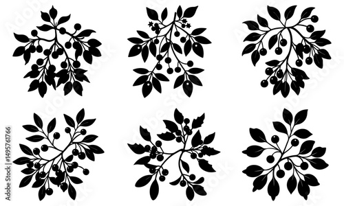 Mistletoe Silhouette  vector