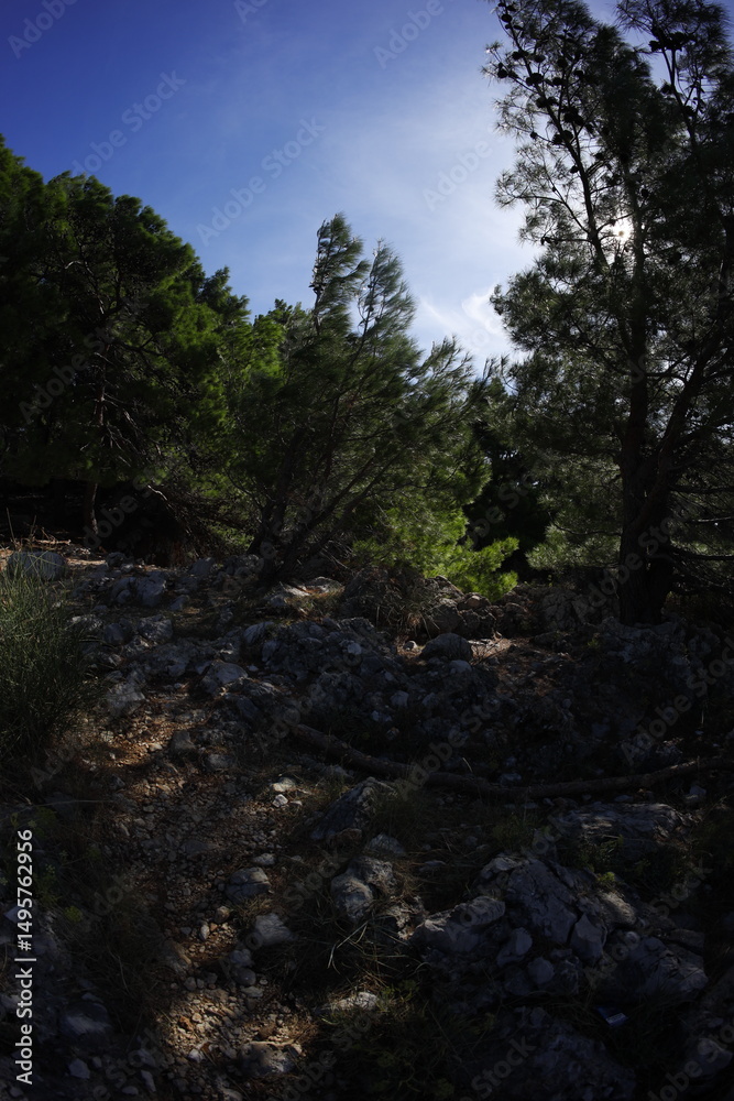 Fototapeta premium Coast in montenegro, Sutomore beach