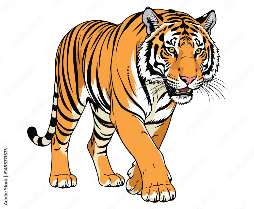 Fototapeta premium Bengal tiger color on a white background