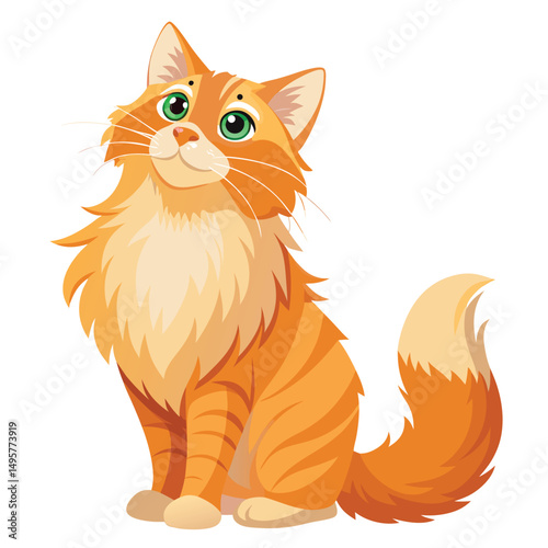 A fluffy ginger cat, possibly a Maine Coon, stands on its hind legs looking upwards with a hopeful expression with white background