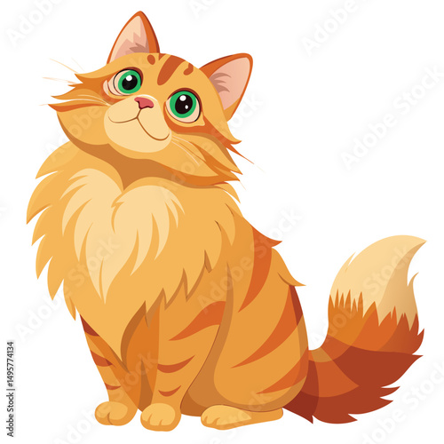 A fluffy ginger cat, possibly a Maine Coon, stands on its hind legs looking upwards with a hopeful expression with white background