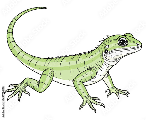 green anole lizard color on a white background