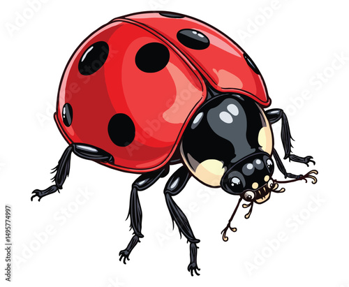 Red ladybug color on a white background