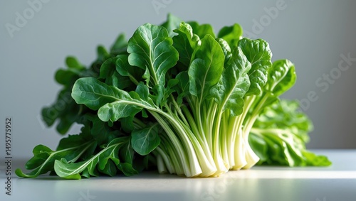 One of the well-liked leafy vegetables is mustard greens.
