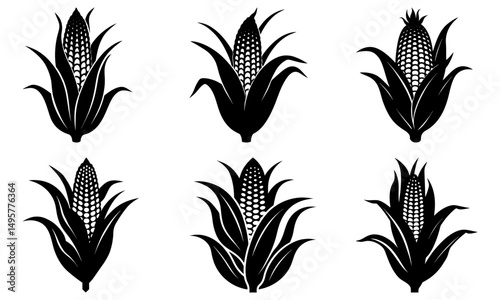 Corn Silhouette  vector