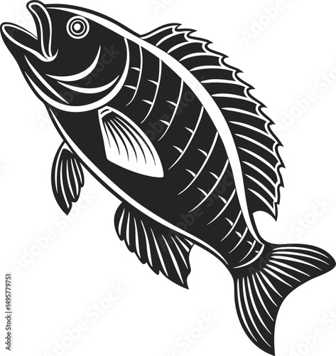 Tilapia Fish Silhouette Design Illustration. Bold Silhouette of a Tilapia Fish. Tilapia Fish Silhouette Artwork in Black. Freshwater Tilapia Silhouette Design for Fishing Art