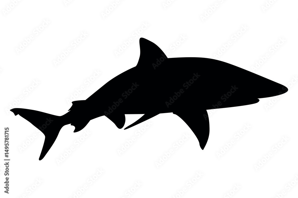 Obraz premium Vector art of Black silhouette of a shark isolated on white background