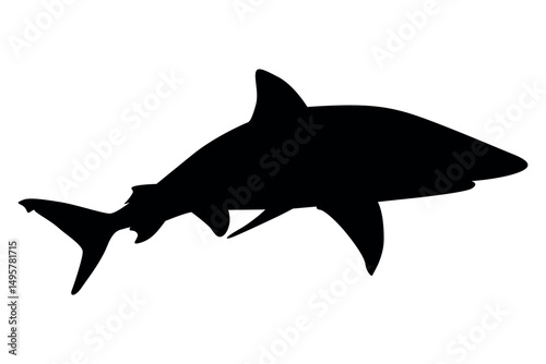 Vector art of Black silhouette of a shark isolated on white background