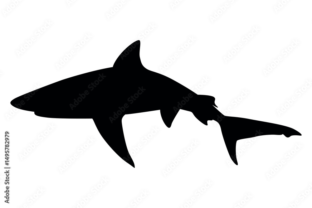 Obraz premium Vector art of Black shark silhouette isolated on transparent background