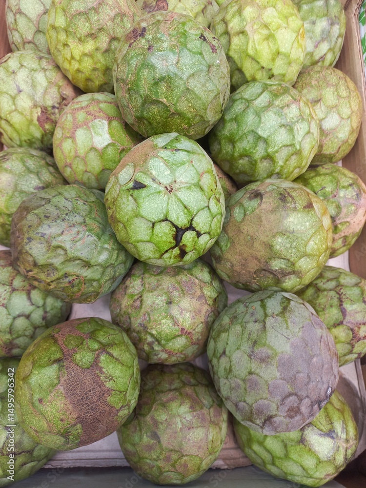 Obraz premium Fresh cherimoya annona cherimola fruit display in market for culinary use. Green fruit background