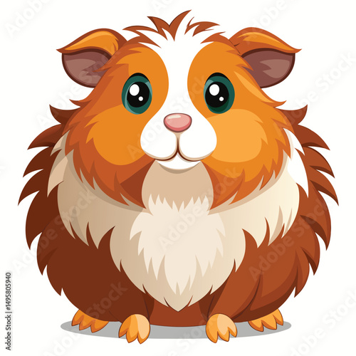 A fluffy guinea pig with brown and white fur stands facing forward with a slightly surprised expression with white background