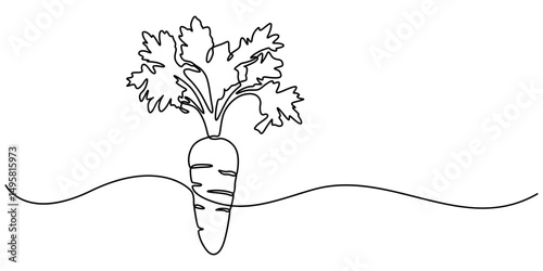 Carrot in one continuous line drawing of carrot vector illustration, Growing carrot plant minimalist outline vector, one line drawing carrot vegetable vector pro, One single line drawing whole healthy