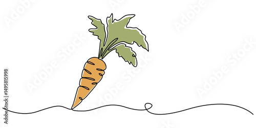Carrot in one continuous line drawing of carrot vector illustration, Growing carrot plant minimalist outline vector, one line drawing carrot vegetable vector pro, One single line drawing whole healthy