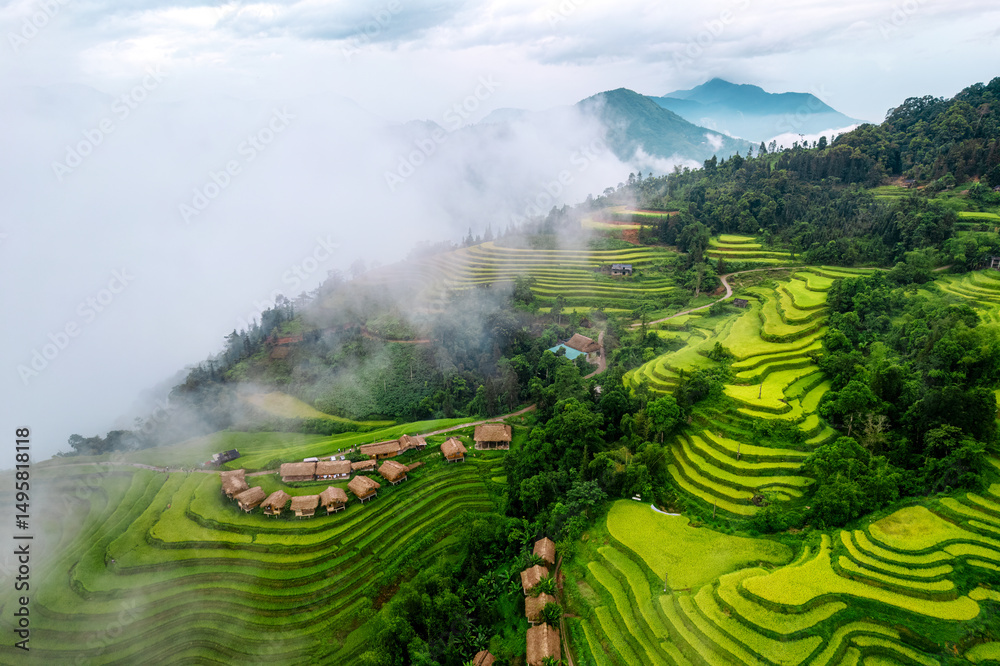 Φωτογραφία Lush green rice field terrace with tropical resort in foggy morning at countrysi
