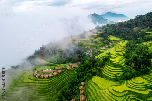 Lush green rice field terrace with tropical resort in foggy morning at countryside