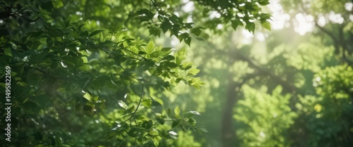 Dreamy, out-of-focus scene; soft light filters through leaves, creating a blurred green background ,  sunlight,  texture,  dappled