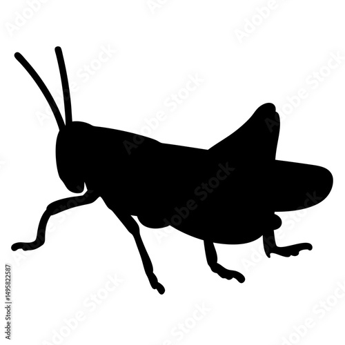A simple, striking black silhouette of a grasshopper against a white backdrop