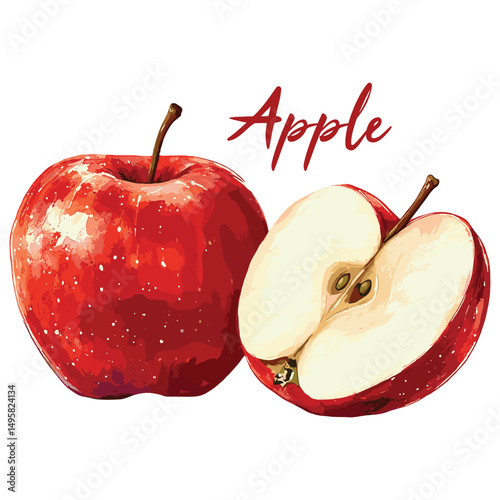 apple in watercolor illustration style, isolated vector on white background