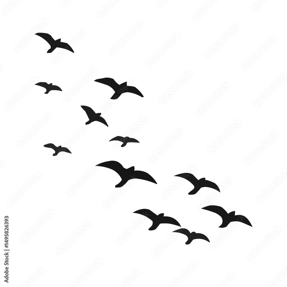 Obraz premium birds in flight