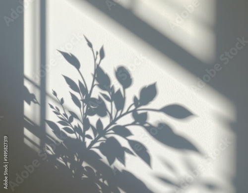 photorealistic shadow of plant leaves cast on a white surface, with soft lighting