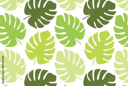 Tropical monstera leaves - seamless pattern. Vector illustration.