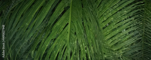 Intricate veins, vibrant green palm leaf texture , wallpaper, paradise, close-up