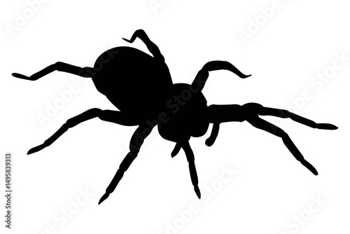 A stark black silhouette of a tarantula spider with its legs spread wide on a white background